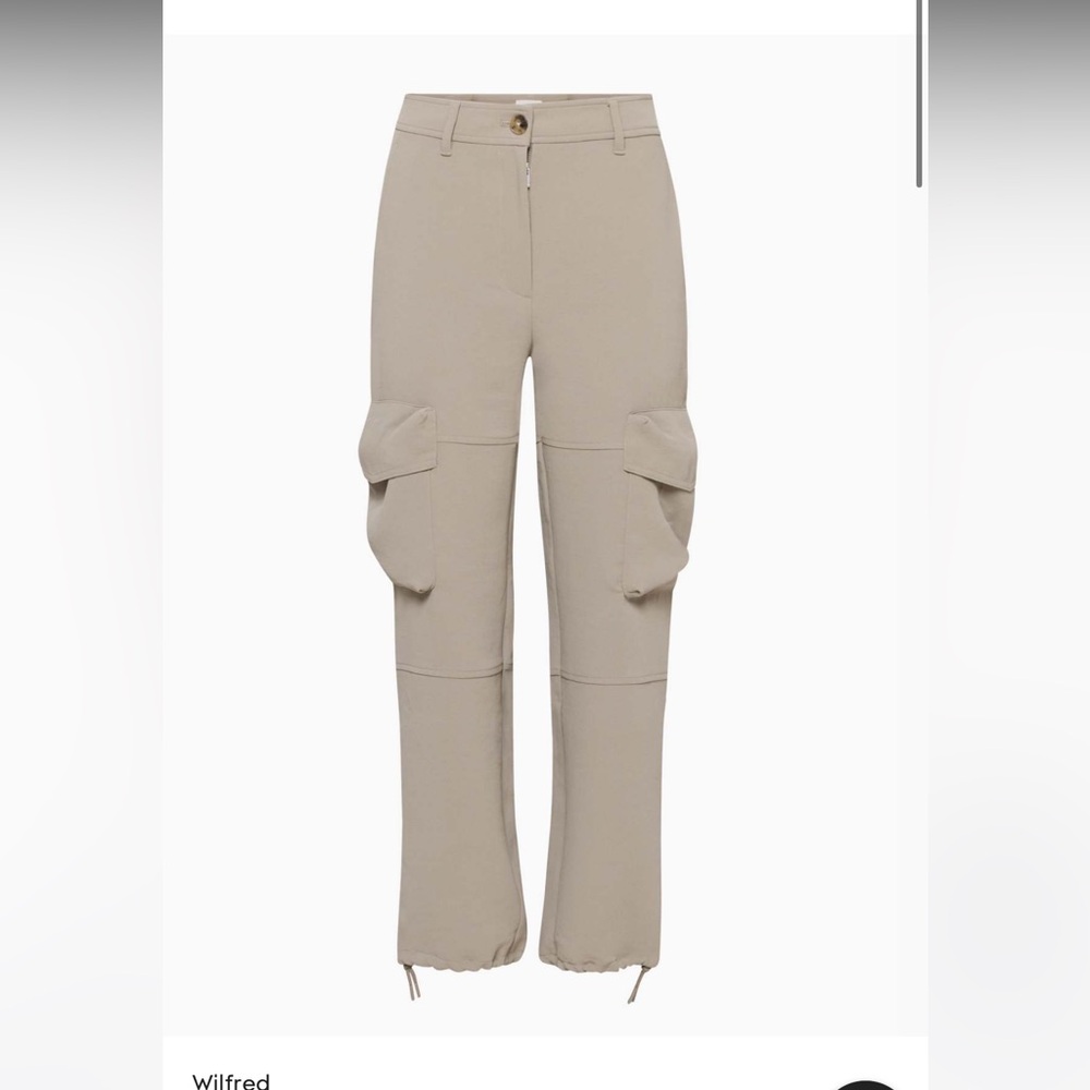 Aritzia New Project Cargo Pant 2